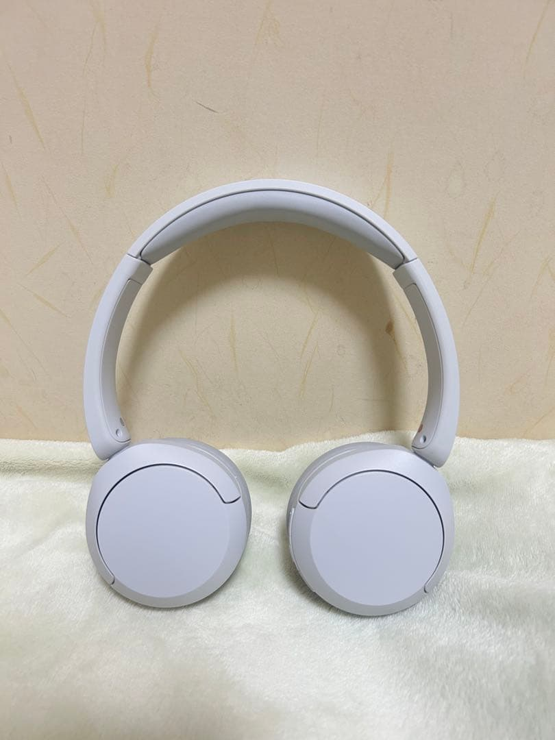 Sony Wireless Headphones Wh-Ch520