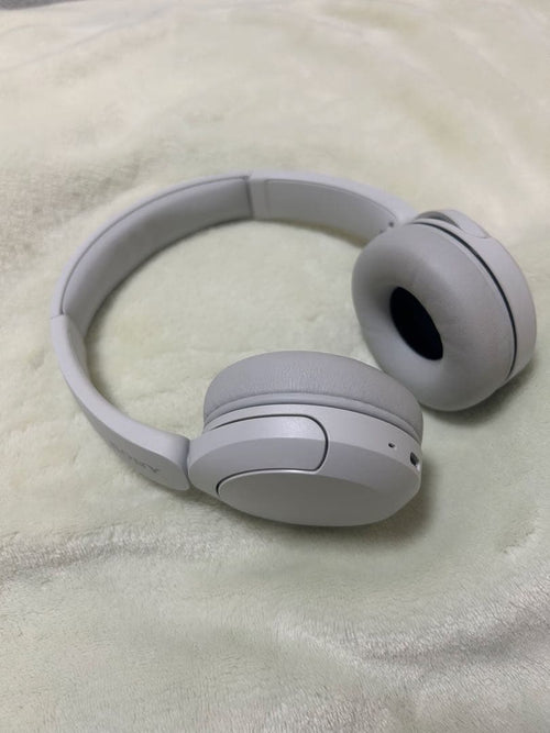 Sony Wireless Headphones Wh-Ch520