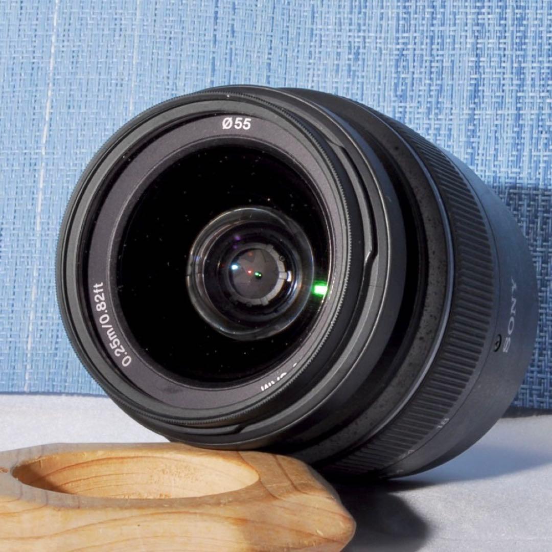 Sony Digital Slr Gps 55
