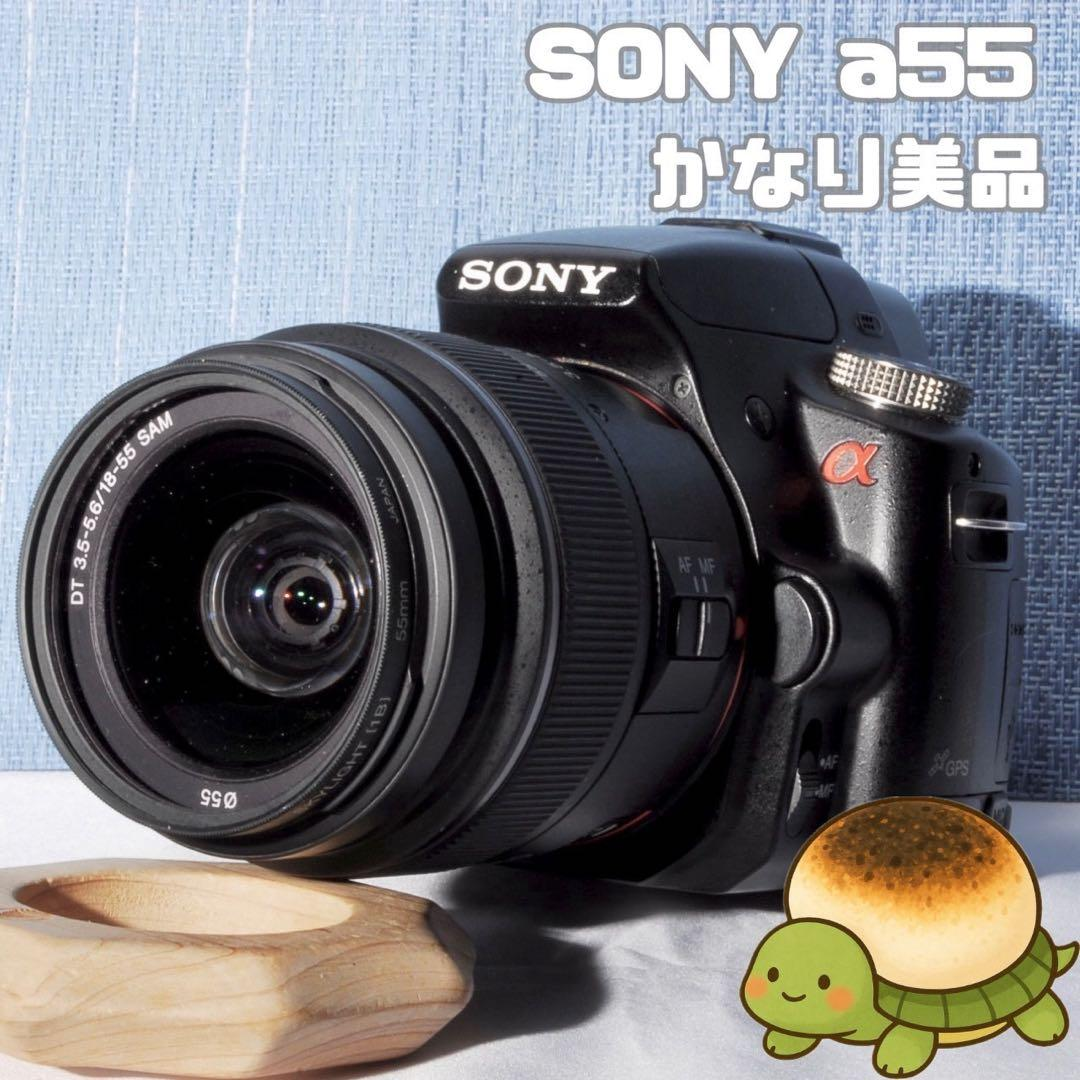 Sony Digital Slr Gps 55