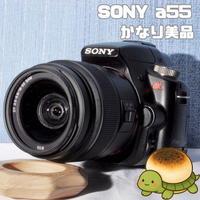 Sony Digital Slr Gps 55