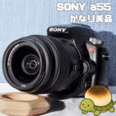 Sony Digital Slr Gps 55