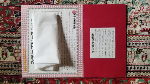 Nintendo Printed Materials