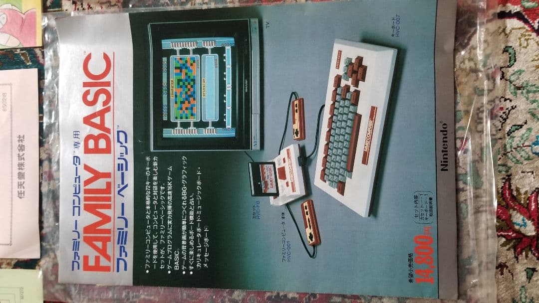 Nintendo Printed Materials
