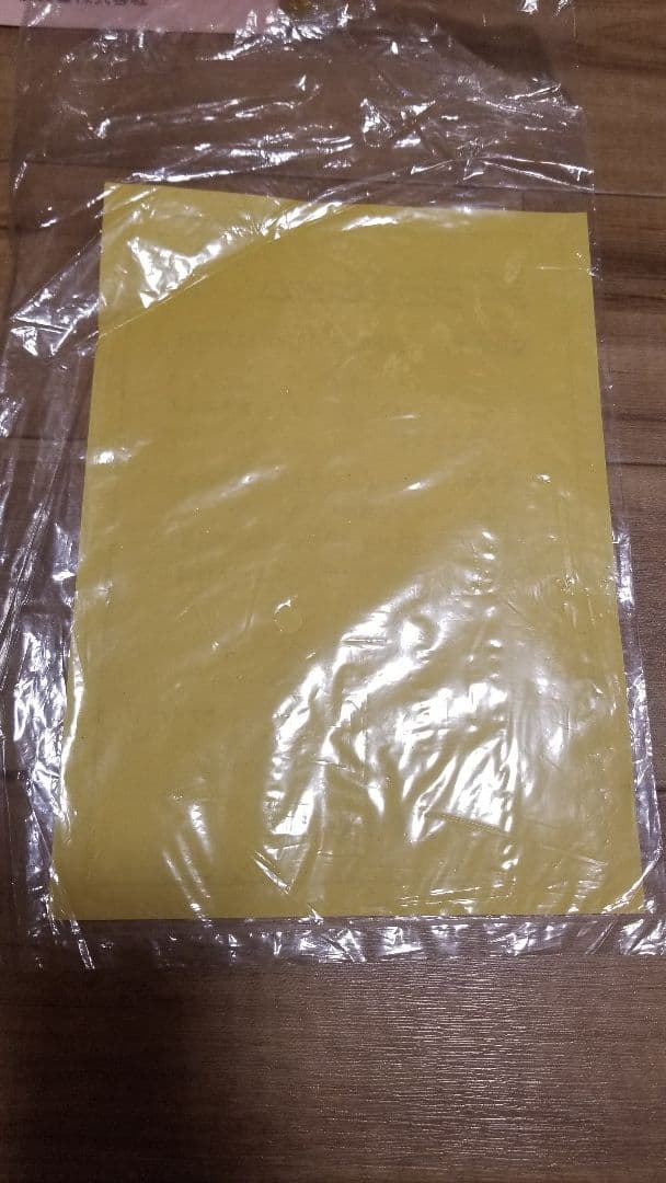 Nintendo Printed Materials