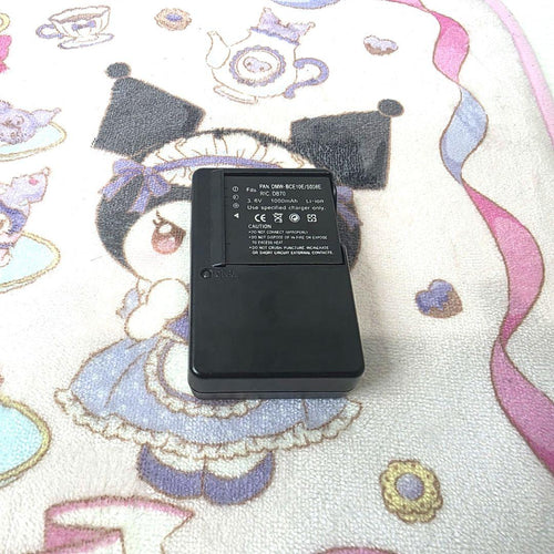 Ricoh Compact Digital Cameras 861 R10
