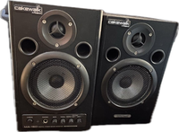 Roland Speaker Cakewalk Ma-15D