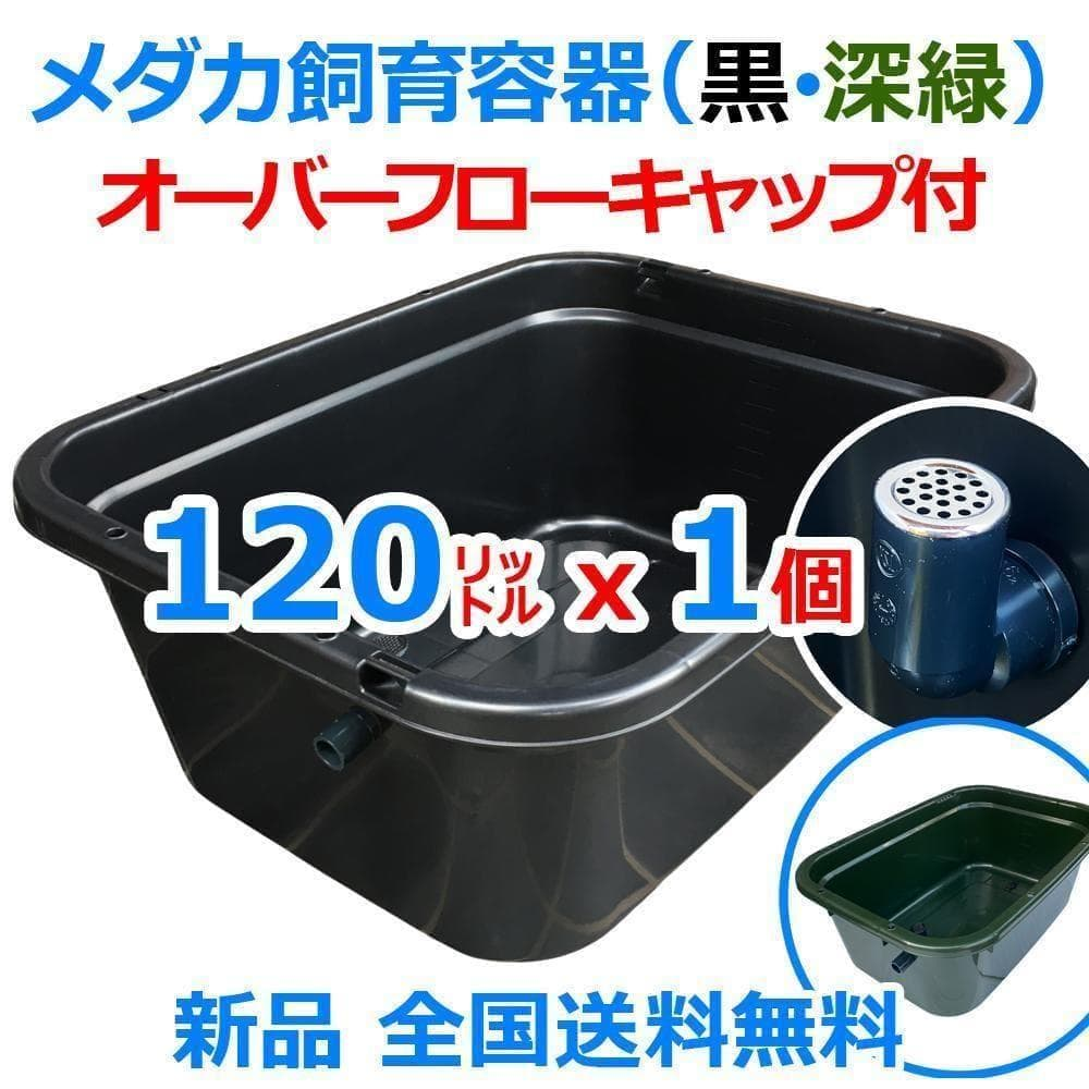 Medaka Bowl Aquarium 120 X1