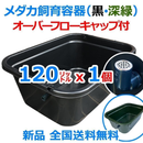 Medaka Bowl Aquarium 120 X1