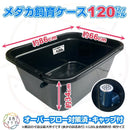 Medaka Bowl Aquarium 120 X1