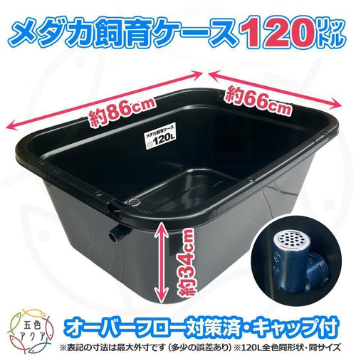 Medaka Bowl Aquarium 120 X1
