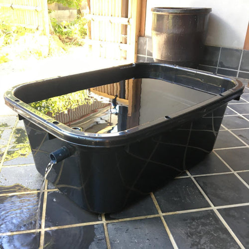 Medaka Bowl Aquarium 120 X1