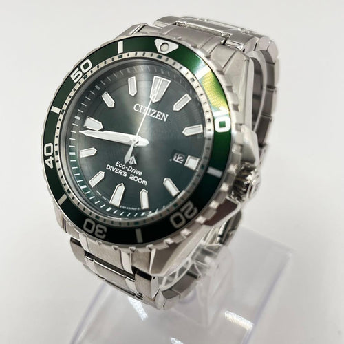 Promaster Watch (Quartz) Citizen
