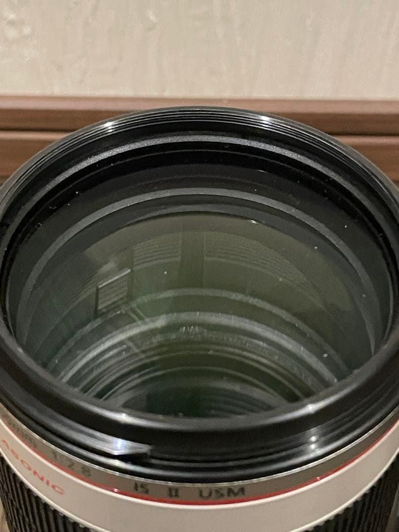 Canon Zoom Lenses Ef 70-200Mm F/2.8L Is Ii Usm