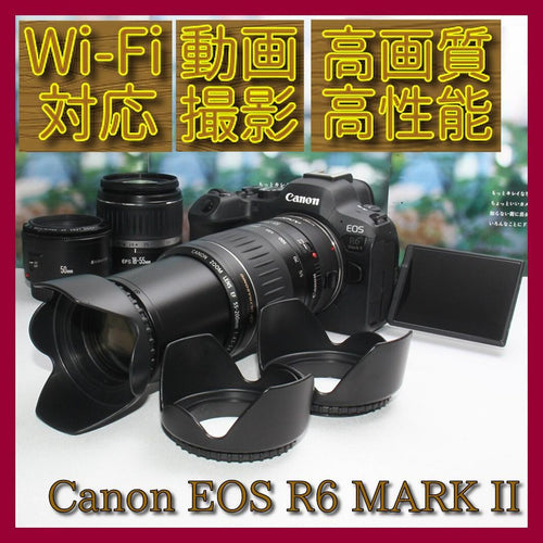 Canon Digital Slr Eos R6 Ii