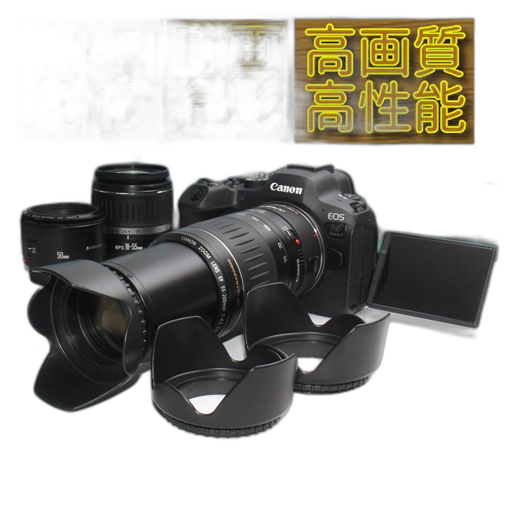 Canon Digital Slr Eos R6 Ii