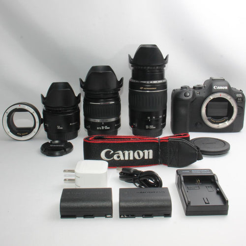 Canon Digital Slr Eos R6 Ii
