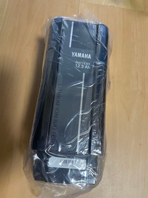 Yamaha Battery Body X2P 12.3Ah