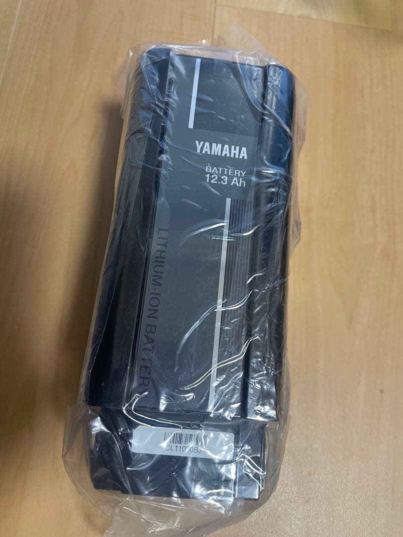 Yamaha Battery Body X2P 12.3Ah