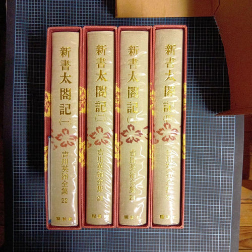 Literature Novel 4