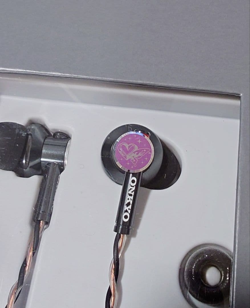 Onkyo Wired Earphones F E700M