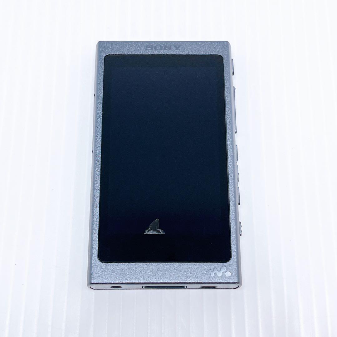 Sony Digital Audio Player Nw-A35
