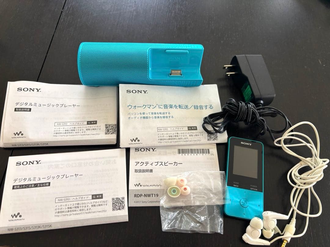 Sony Digital Audio Player Walkman Nw-S313