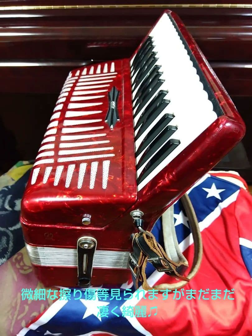 Yamaha Accordions Ya-21
