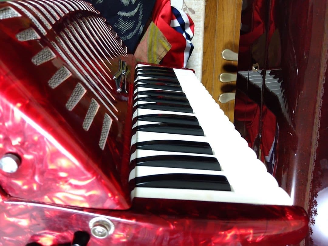 Yamaha Accordions Ya-21
