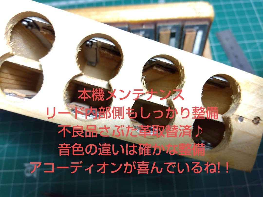 Yamaha Accordions Ya-21