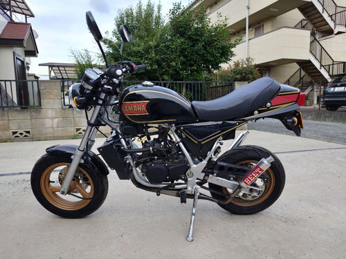 Yamaha Motor Motorcycle Frames Tdr50 Rz