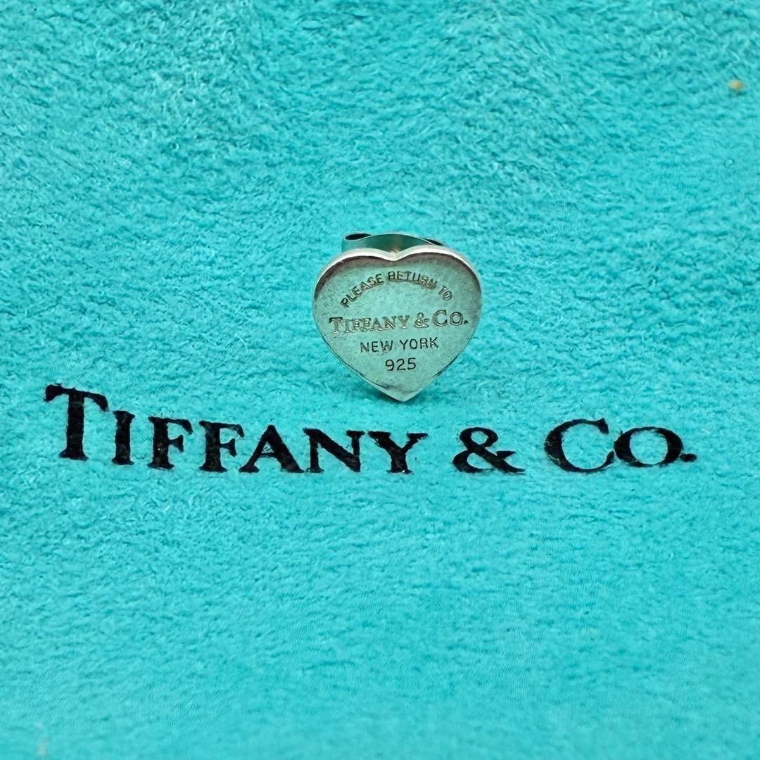 Tiffany Earrings (Single)
