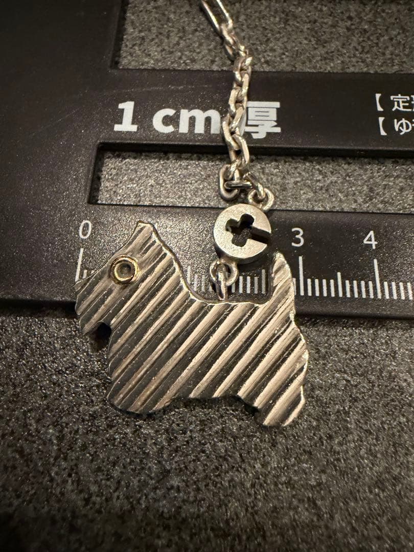 Tiffany Charms 925