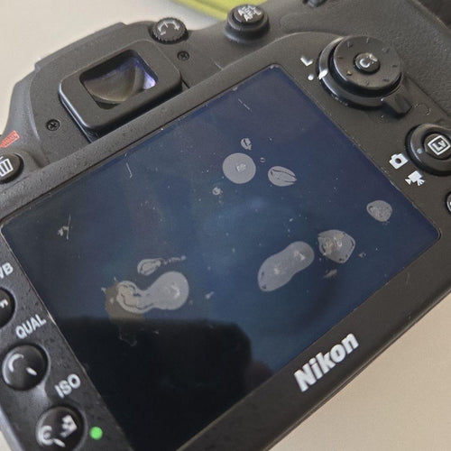 Nikon Digital Slrs D7100 195426