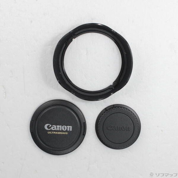 Canon Lens (Zoom) Ef 24-105Mm F4L Is Usm 276