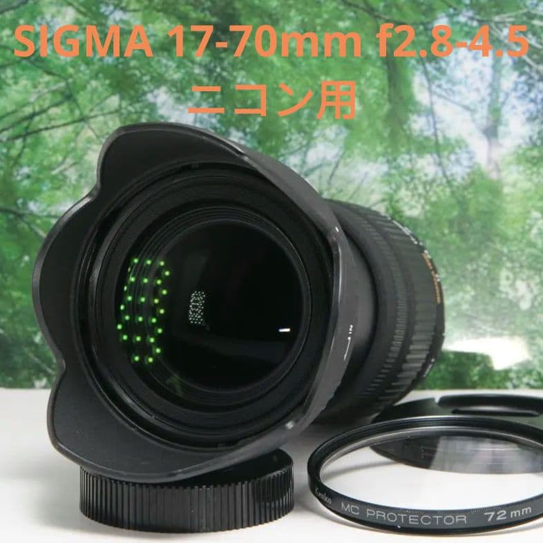 Sigma Lens (Zoom) 17-70Mm F2.8-4.5