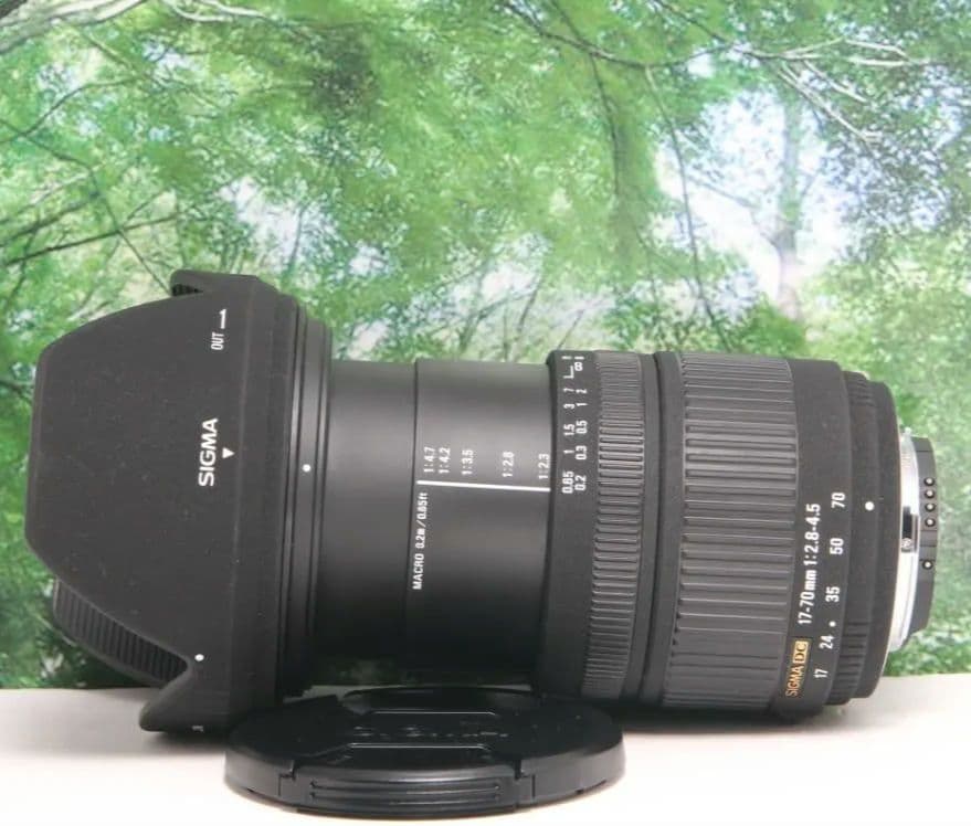 Sigma Lens (Zoom) 17-70Mm F2.8-4.5