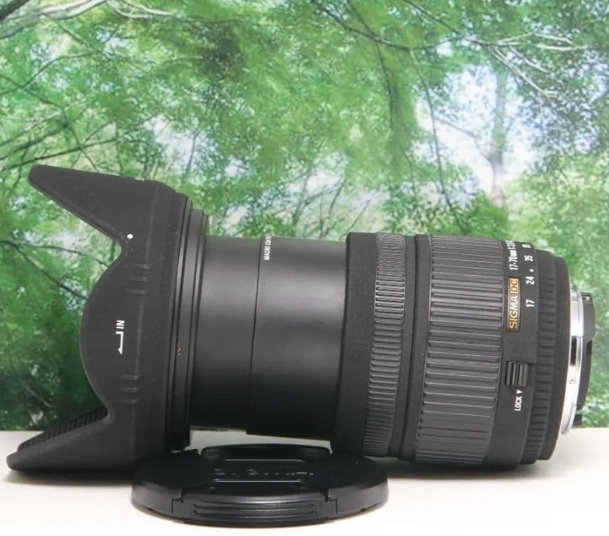 Sigma Lens (Zoom) 17-70Mm F2.8-4.5