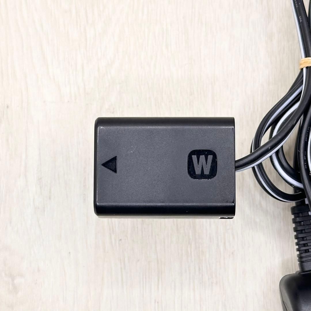 Sony Digital Camera Charger Ac-Pw20 Ac Nex Rx Slt 60-0906-244