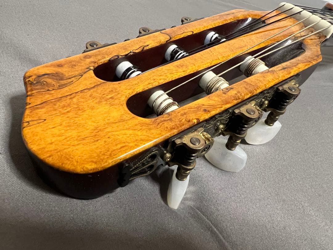 Electric Guitars Godin Acs Slim Sa