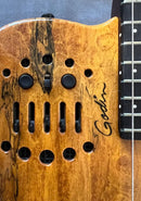 Electric Guitars Godin/Acs Slim Sa