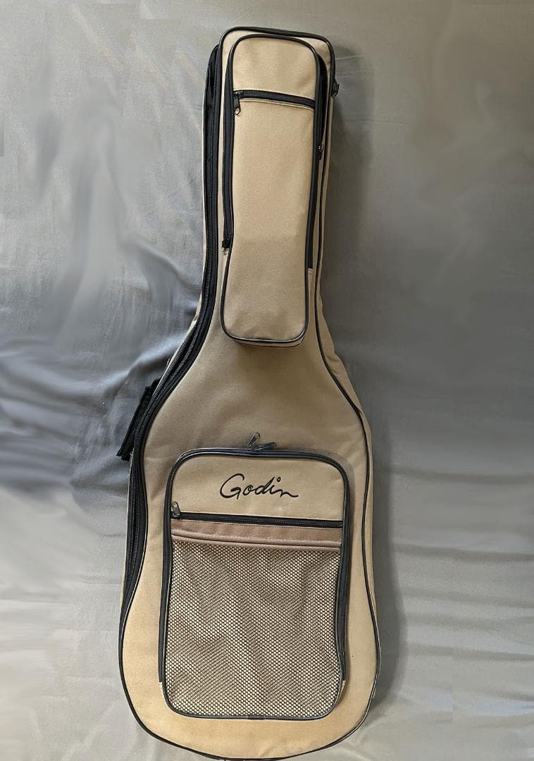 Electric Guitars Godin/Acs Slim Sa