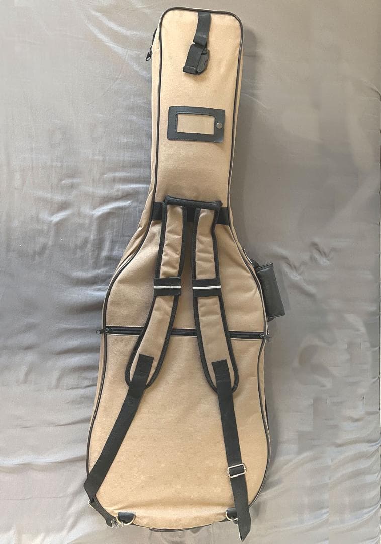 Electric Guitars Godin/Acs Slim Sa