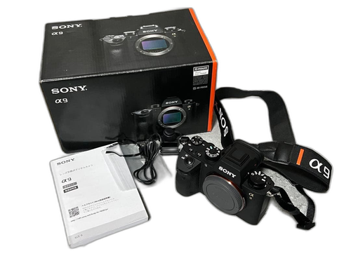 Sony Mirrorless Interchangeable Lips 9