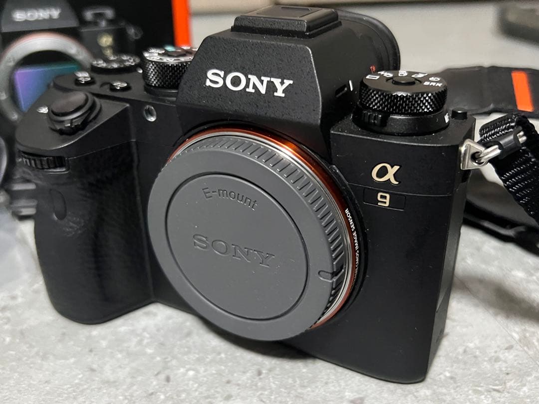 Sony Mirrorless Interchangeable Lips 9