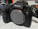 Sony Mirrorless Interchangeable Lips 9