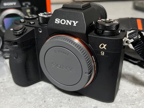 Sony Mirrorless Interchangeable Lips 9
