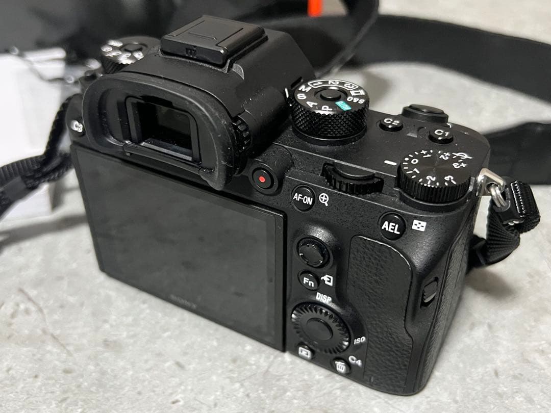 Sony Mirrorless Interchangeable Lips 9