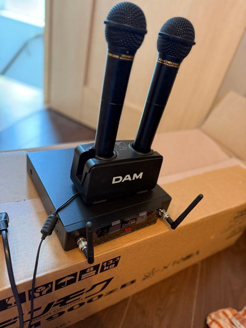 Other Dam Ai +Bose 2