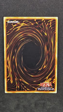 Yu -Gi -Oh! Ocg Duel Monsters 1